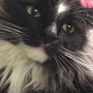 Meet your Posher, Maggie